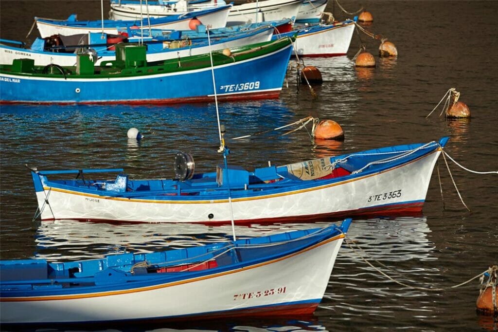 Fishing boats in Vueltas (Valle Gran Rey)